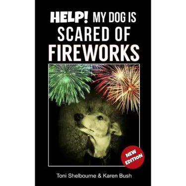 Help! My Dog is Scared of Fireworks