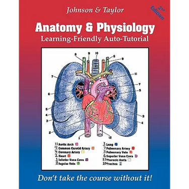Anatomy & Physiology Learning-Friendly Auto-Tutorial