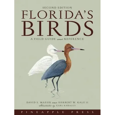 Florida's Birds: A Field Guide and Reference