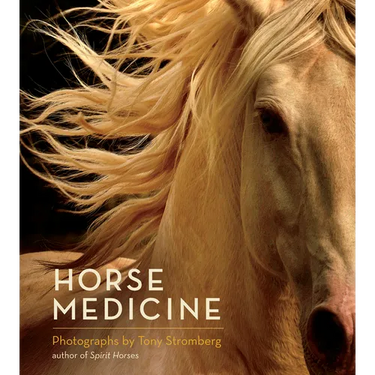 Horse Medicine