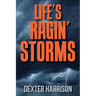 Life's Ragin' Storms
