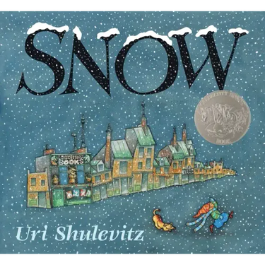 Snow: (Caldecott Honor Book)
