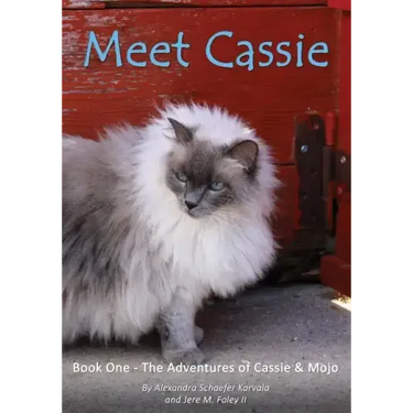 Meet Cassie
