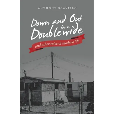 Down and out in a Doublewide and Other Tales of Modern Life