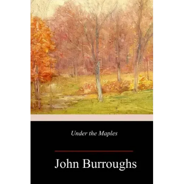 Under the Maples