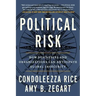 Political Risk: How Businesses and Organizations Can Anticipate Global Insecurity
