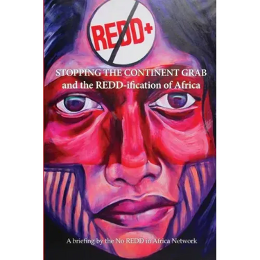 Stop the Continent Grab and the REDD-ification of Africa
