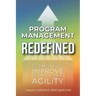 Program Management Redefined: Techniques to Improve Organizational Agility