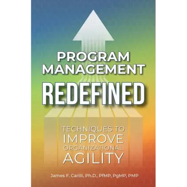Program Management Redefined: Techniques to Improve Organizational Agility