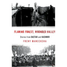 Flaming Forest, Wounded Valley Stories from Bastar and Kashmir