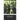 Forest of the Hanged