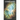 Cosmic Quest