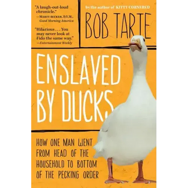 Enslaved by Ducks