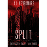 Split: A Spicy Dystopian Romance