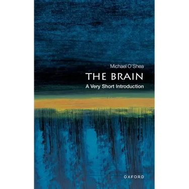 The Brain: A Very Short Introduction
