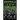 Emerald City Thrillers: Books 1-5