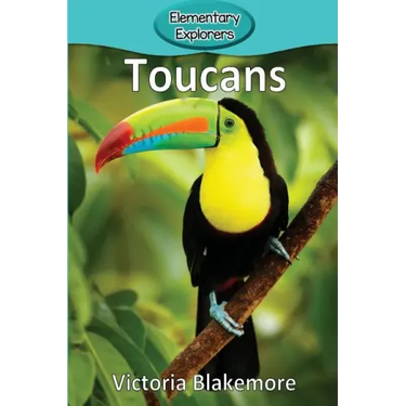 Toucans