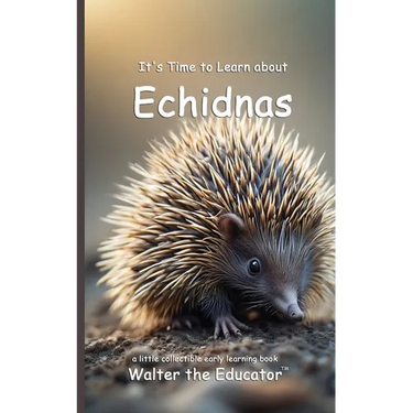 It's Time to Learn about Echidnas