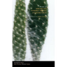Poems of Hiromi Ito, Toshiko Hirata & Takako Arai