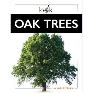 Oak Trees