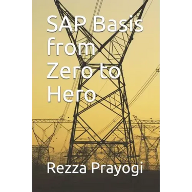 SAP Basis from Zero to Hero
