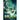The Breach