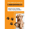 The Complete Guide To Labradoodles: book For Care, Feeding, Health, Training And More: Leash Training Tips For Labradoodle