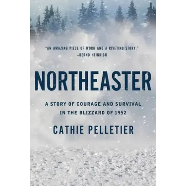 Northeaster: A Story of Courage and Survival in the Blizzard of 1952