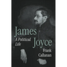 James Joyce: A Political Life