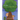 Grandpa...Why Are You Planting That Tree?