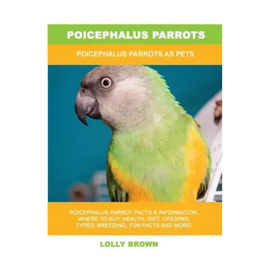 Poicephalus Parrots: Poicephalus Parrots As Pets