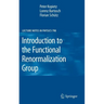 Introduction to the Functional Renormalization Group