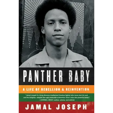 Panther Baby