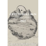 Crypto Bull Run Investment Insights 2025