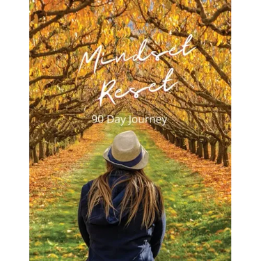 Mindset Reset: 90 Day Journey