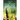 The Sentient Space - Log Entry 2
