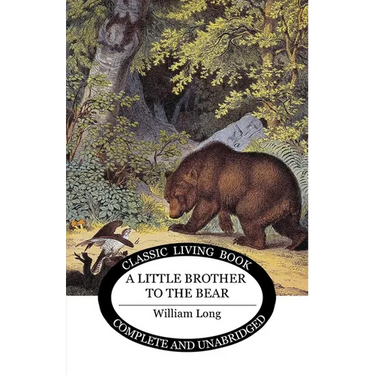 Little Brother to the Bear