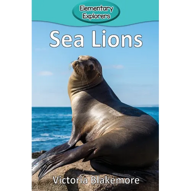 Sea Lions