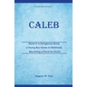 Caleb: Alone in a Dangerous World, a Young Boy Grows to Manhood, Becoming a Force for Good