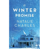 A Winter Promise: A Novella