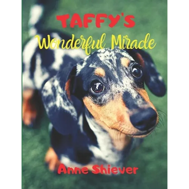 Taffy's Wonderful Miracle Story: AN EASY READER CHILDREN'S STORY & COLORING BOOK about a Silver Dapple Dachshund's adventures and a great miracle too!
