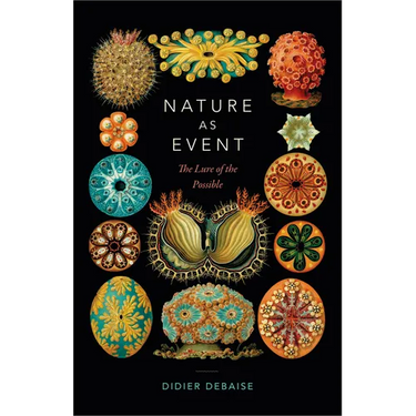Nature as Event: The Lure of the Possible