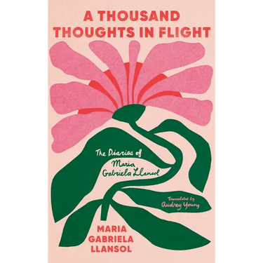 A Thousand Thoughts in Flight