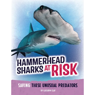Hammerhead Sharks at Risk: Saving These Unusual Predators