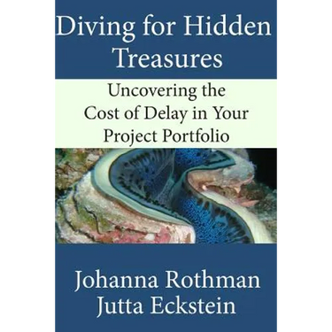Diving for Hidden Treasures: Uncovering the Cost of Delay in Your Project Portfolio