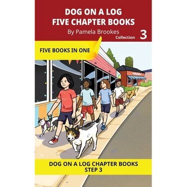 Five Chapter Books 3: Decodable Series for Students Learning to Read. For Beginning Readers and Students with Dyslexia. (Step 3--ng, -nk)