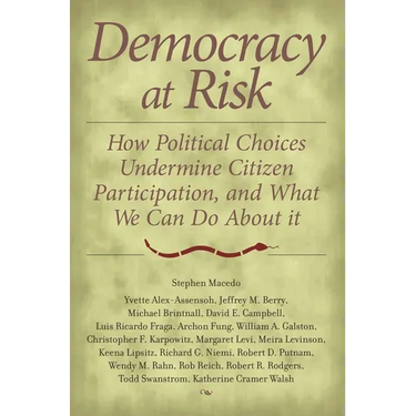Democracy at Risk: How Political Choices Undermine Citizen Participation, and What We Can Do about It