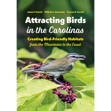 Attracting Birds in the Carolinas: Creating Bird-Friendly Habitats from the Mountains to the Coast