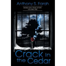 Crack in the Cedar