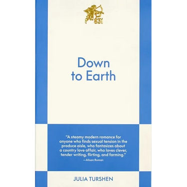 Down to Earth: An 831 Stories Romance